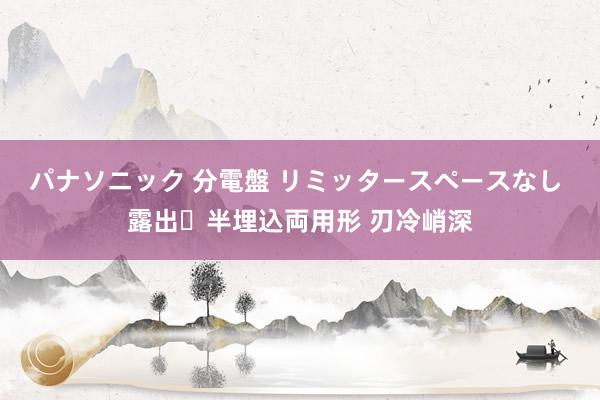 パナソニック 分電盤 リミッタースペースなし 露出・半埋込両用形 刃冷峭深