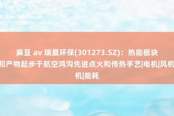 麻豆 av 瑞晨环保(301273.SZ)：热能板块手艺和产物起步于航空鸿沟先进点火和传热手艺|电机|风机|能耗