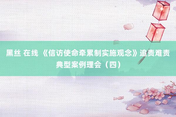 黑丝 在线 《信访使命牵累制实施观念》追责难责典型案例理会（四）