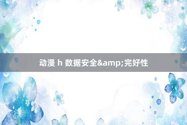 动漫 h 数据安全&完好性