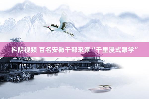 抖阴视频 百名安徽干部来淳“千里浸式跟学”