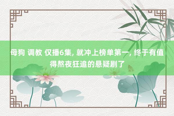 母狗 调教 仅播6集， 就冲上榜单第一， 终于有值得熬夜狂追的悬疑剧了