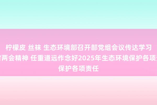 柠檬皮 丝袜 生态环境部召开部党组会议传达学习宇宙两会精神 任重道远作念好2025年生态环境保护各项责任